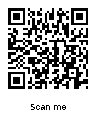 QR Code for Kelly short Boxy t-shirt